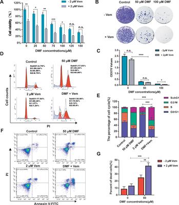 Dimethyl Fumarate Combined With Vemurafenib Enhances Anti-Melanoma Efficacy via Inhibiting the Hippo/YAP, NRF2-ARE, and AKT/mTOR/ERK Pathways in A375 Melanoma Cells